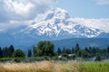 View of Mt Hood near Hood Rivver Oregon. Agricultural sprinklers watering farmland in the foreground Royalty Free Stock Photo