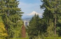View of Mt. Hood and Portland Oregon in Washington park Royalty Free Stock Photo