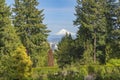 View of Mt. Hood and Portland Oregon in Washington park Royalty Free Stock Photo