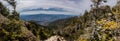 View from Mt LeConte Pano Royalty Free Stock Photo