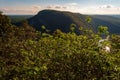 Mount Tammany Trail