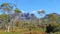 View of mt ossa, tasmania`s highest mountain, from the overland track