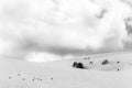 View of Mt. Subasio Umbria field meadows covered by snow, with Royalty Free Stock Photo