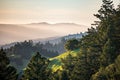 View from Mt. Tamalpais at sunset Royalty Free Stock Photo