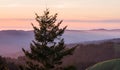 View from Mt. Tamalpais at sunset Royalty Free Stock Photo