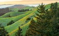 View from Mt. Tamalpais at sunset with rolling greenhils. Royalty Free Stock Photo