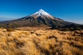View of Mt. Taranaki Mt. Egmont, New Zealand Royalty Free Stock Photo