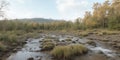 A view of a muddy riverbed with clumps of grass and trees under a cloudy sky in the daytime Royalty Free Stock Photo