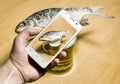 View of the mug with beer and dried fish through the camera of a Royalty Free Stock Photo