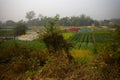 View of multi-coloured aster and others flowers of khirai, West bengal, India in full bloom. Royalty Free Stock Photo