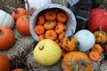 A view of multiple sixed pumkins on straw bales Royalty Free Stock Photo
