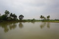 the view of the murky lake accompanied by the green of the trees and the expanse of the sky