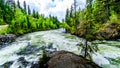 View of Murtle River during high snow melt, in Wells Gray Provincial Park, BC, Canada Royalty Free Stock Photo