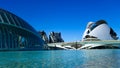 View of the Museum of Science in Valencia on a beautiful warm day