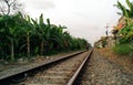 Railway Train at my backyard.