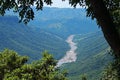 Foliage with oribi gorge in background