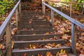 View at n empty stairs made large wooden beams put together on a steep slope of a hill. Royalty Free Stock Photo