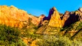 View of Nagunt Mesa, and other Red Rock Peaks of the Kolob Canyon part of Zion National Park, Utah, United Sates