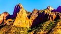 View of Nagunt Mesa, and other Red Rock Peaks of the Kolob Canyon part of Zion National Park, Utah, United Sates
