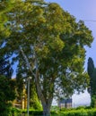 Nahum Garden, Neve Shaanan Neighborhood, Haifa Royalty Free Stock Photo