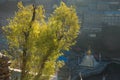 View of Namche bazar and mount thamserku - way to everest base c Royalty Free Stock Photo