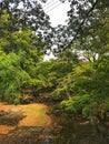 View of Nara Park. Nara is the capital city of Nara Prefecture located in the Kansai region of Japan Royalty Free Stock Photo