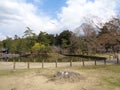 The view of Nara park when spring time Royalty Free Stock Photo