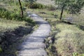 View of a narrow stairway on a hill in a rural area, A stairway paved with stones