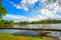 View of national lake park with dry tree on foreground Royalty Free Stock Photo