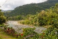 View on national park alejandro de humboldt with river Cuba