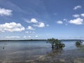 View of the national park of Wasini island