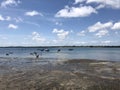 View of the national park of Wasini island