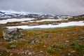 view from national tourist road 55 Sognefjellsvegen in misty weather, Norway