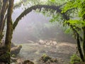 View of natural arch with fog over the river Aniene in Lazio