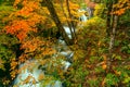 View of the natural clear stream flow over rocks Royalty Free Stock Photo