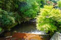 View of natural fresh spring stream with stone bank through light glowing green maple trees, forest and local buildings on stone Royalty Free Stock Photo