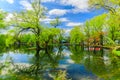 View of natural landscape at Toronto Center island near the pond area with people walking and relaxing in background