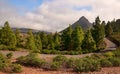 View of natural park Ifonche Tenerife with Roque Imoque mountain in the distance. Royalty Free Stock Photo