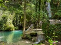 View of natural pool and waterfall in the wild forest Royalty Free Stock Photo