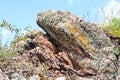 A view of natural stones from granite covered with moss and lichen on the background of grass, flowers and a blue sky with clouds. Royalty Free Stock Photo