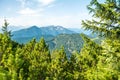 View of nature and mountains through trees from Herzogstand mountain, Bavaria, Germany