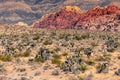 View of nature in Red Rock Canyon in Nevada, USA Royalty Free Stock Photo