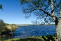 View from the nature reserve Horns Kungsgard at the swedish island Oland