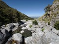 Nature reserve `Reserva Florofaunistica de RincÃÂ³n del Este`, in Merlo, San Luis, Argentina.