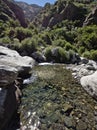 Nature reserve `Reserva Florofaunistica de RincÃÂ³n del Este`, in Merlo, San Luis, Argentina.