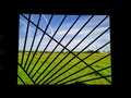 view of nature and surroundings through the lattice and broken glass of the window