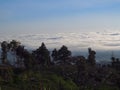 View on the Nature  at Temanggung Central Java Indonesia Royalty Free Stock Photo