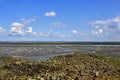 Mud Flats Royalty Free Stock Photo