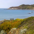 Near Barricane Beach in North Devon