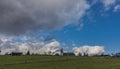 View near Horni Studenky village in Zabreh area